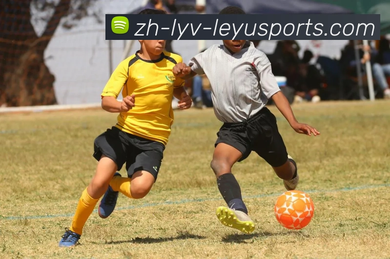 乐鱼官网APP 封面图